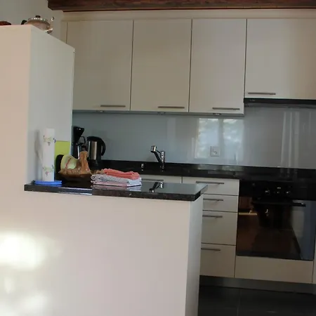 Adele Appartement-fewo- Dusche Oder Bad- Wc 4 1-2 Zimmerwohnung- 6-betten By Interhome Apartamento Fiesch